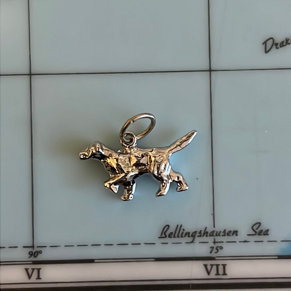 2/$30 Silver Retriever Dog Charm